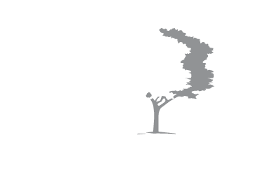 Timber Tree, LLC